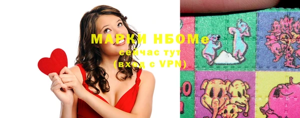 хмурый Пересвет