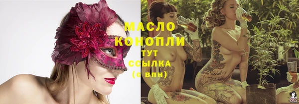 хмурый Пересвет