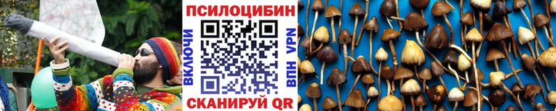 Купить  Томск  Псилоцибиновые грибы Magic Shrooms 